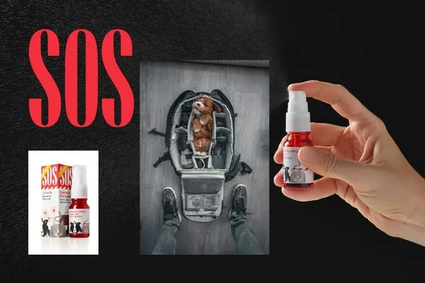 SOS Pets - Una solución pensada para proteger 